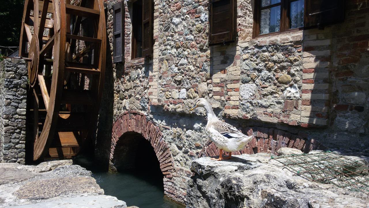 Agriturismo Il Mulino Delle Pile Chiusdino Exterior photo
