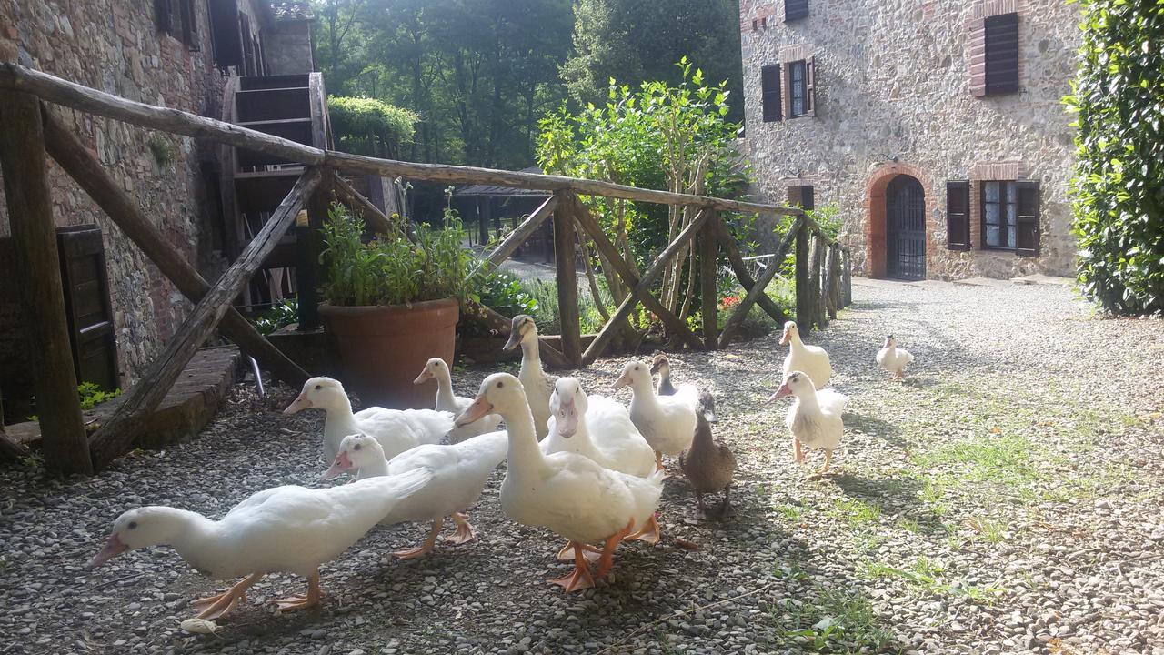 Agriturismo Il Mulino Delle Pile Chiusdino Exterior photo