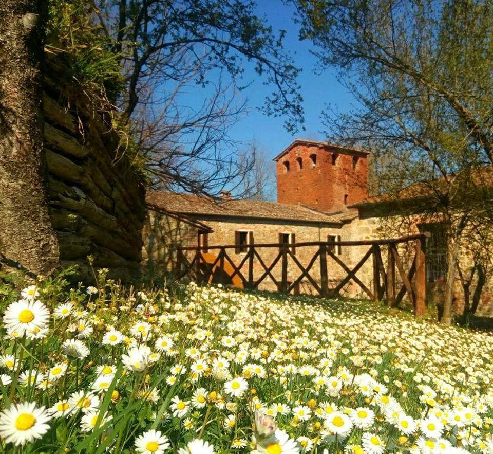 Agriturismo Il Mulino Delle Pile Chiusdino Exterior photo