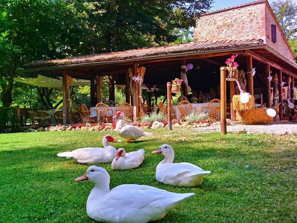 Agriturismo Il Mulino Delle Pile Chiusdino Exterior photo